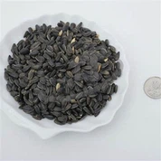 Fuglemat Solsikkefrø