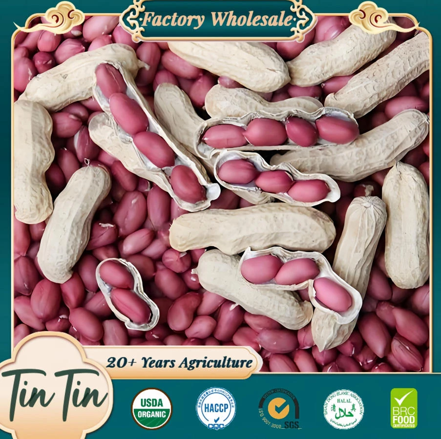 New Corp Red Skin Peanøtter Bulk Billig