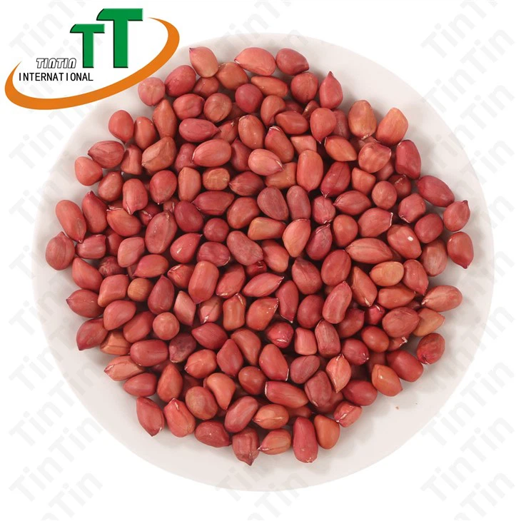 Ny beskjære rå rød hud peanøttkjerne med hud