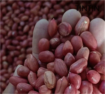 Enestående kvalitet, deilig og 100 % naturlig peanøttkjerner med rød hud