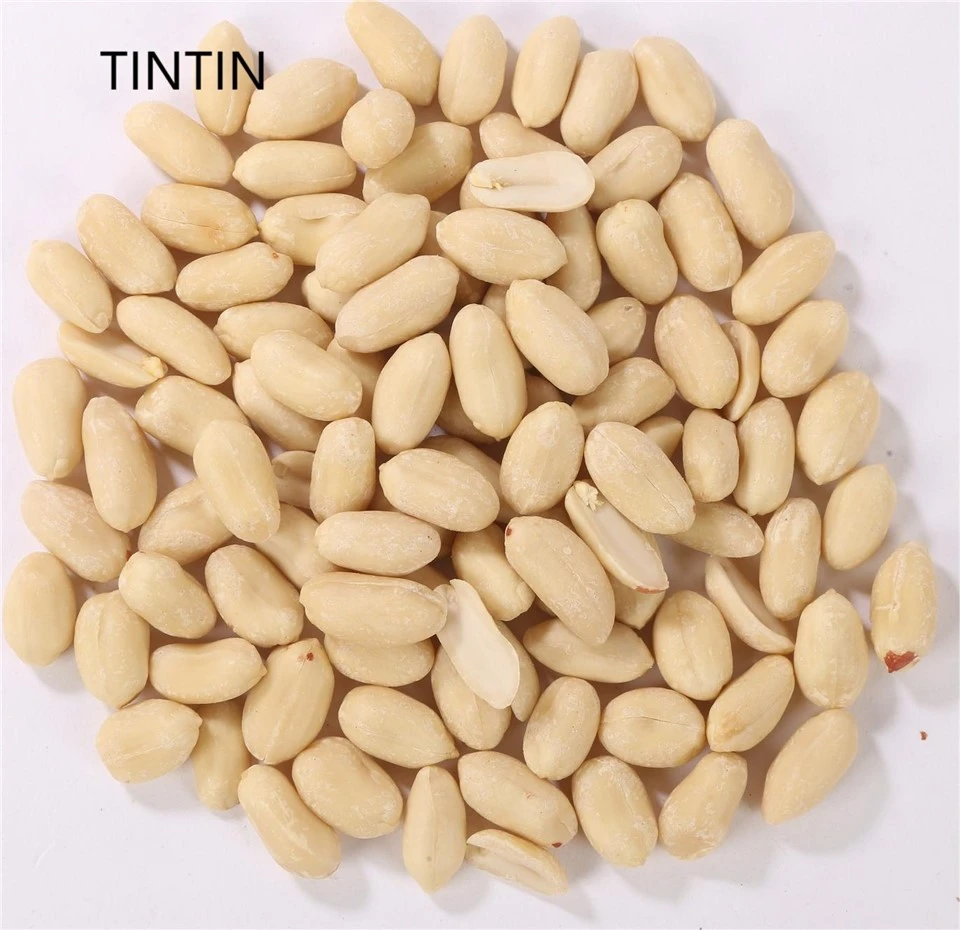 Blanched Peanuts Skinless Peanut Kernels Natural Premium Quality