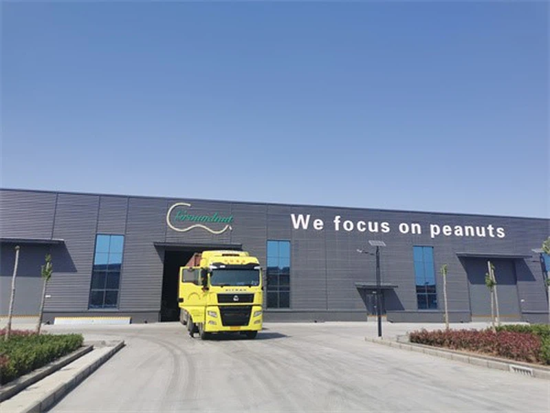 product-800-600 product-800-600