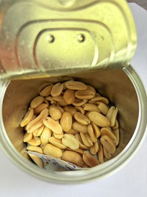 _20250331160623.jpg _20250331160623.jpg