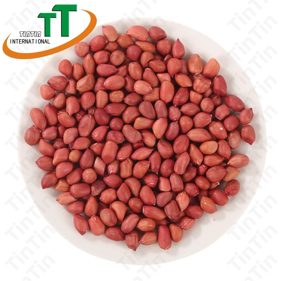 Red Skin Peanut Kernels 50/60 2024 New Crop Red Skin Peanut Kernels 50/60 2024 New Crop