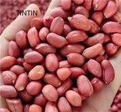 China Red Skin Peanut