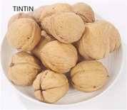 Hot Selger høykvalitets kinesisk valnøtt i skall