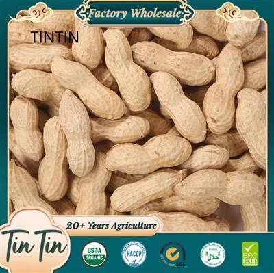 Analyse av peanøttproduksjonsforhold i ulike produksjonsområder i Kina denne ...