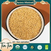 Ristede linfrø med høy kvalitet